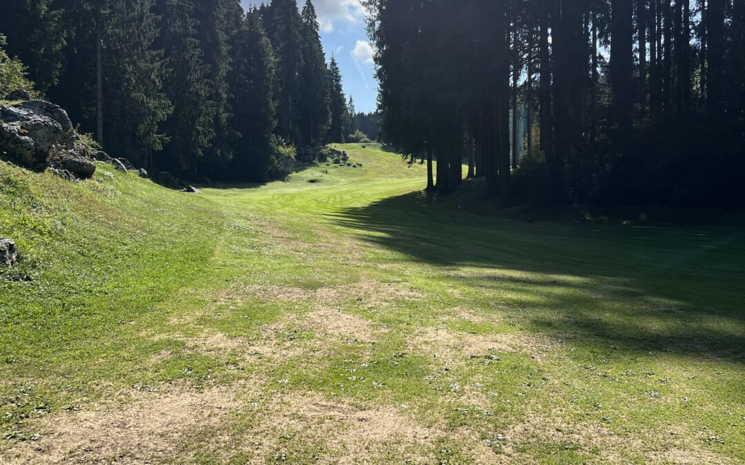 Sole d’agosto, fairway tosto.