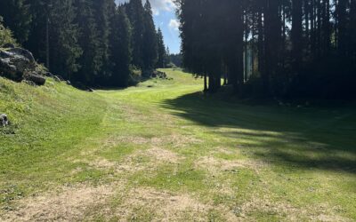 Sole d’agosto, fairway tosto.